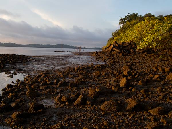 Eastern Coastline Looking South 4 Parcel 2