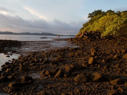 Eastern Coastline Looking South 4 Parcel2